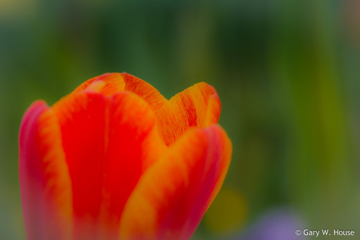 1203040 (a): :2048x1365